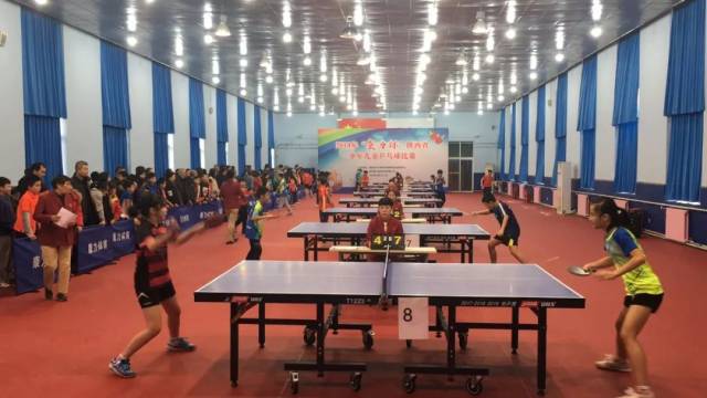 许多网球名 许多网球名