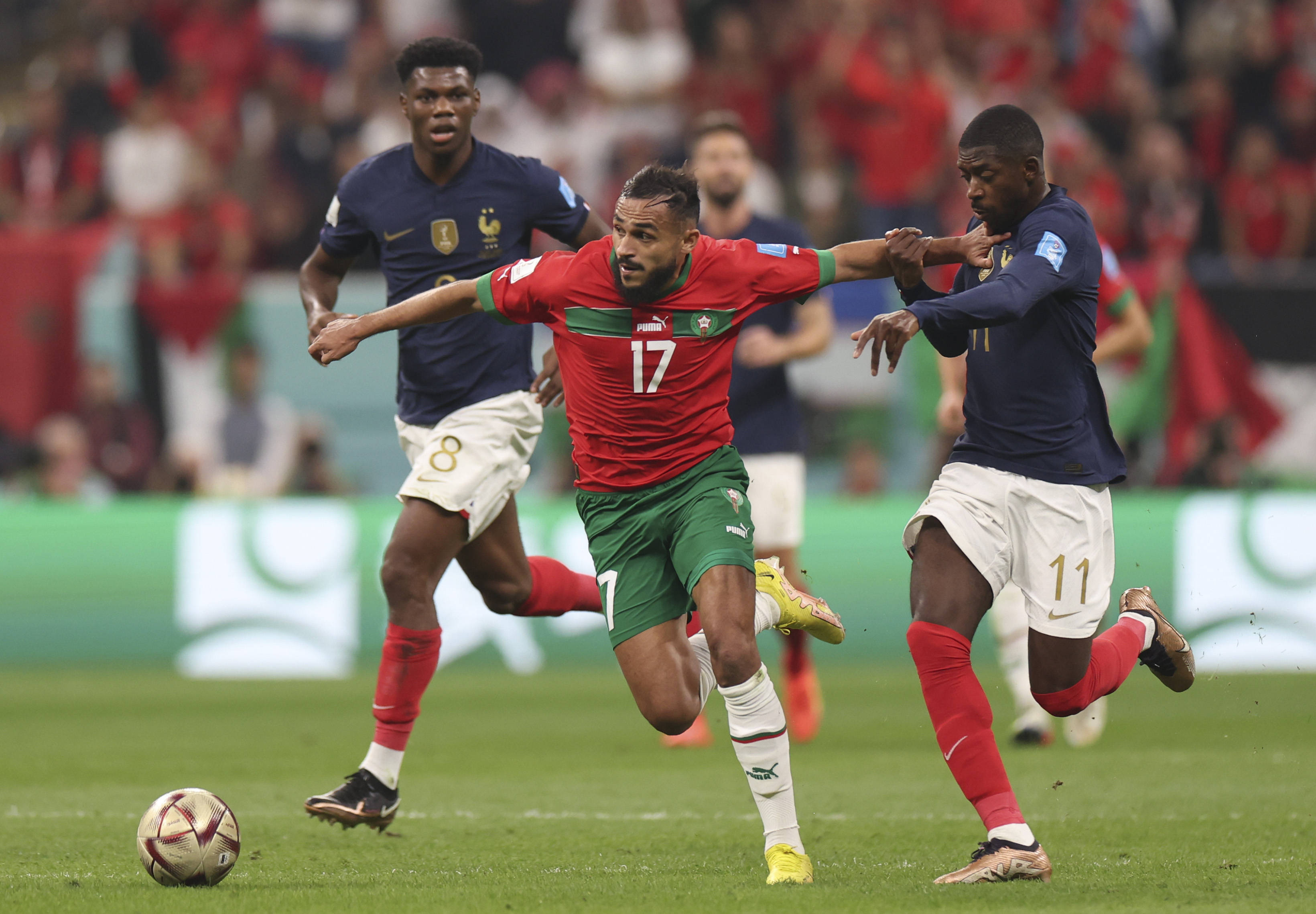 训练与对手 训练与对手