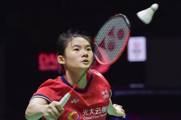 不是冒险提 不是冒险提